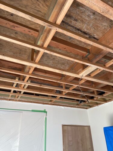 秋こそ要注意！湿度60％以上で増えるカビ被害と健康リスク