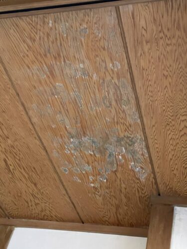 クローゼットのカビは健康の敵！衣類収納で今すぐできる７つの防止策