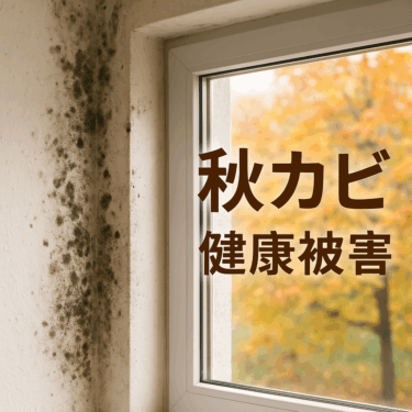 換気・除湿・家具配置まで網羅！秋のカビ予防マニュアル