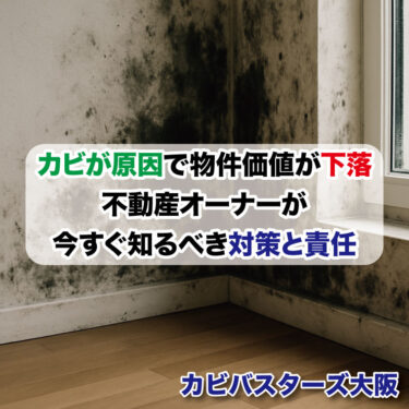 カビが原因で物件価値が下がる？不動産オーナーが今すぐ知るべき対策と責任