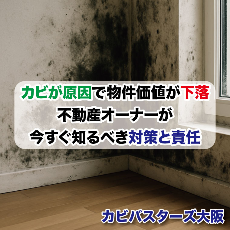 カビが原因で物件価値が下がる？不動産オーナーが今すぐ知るべき対策と責任はカビバスターズ