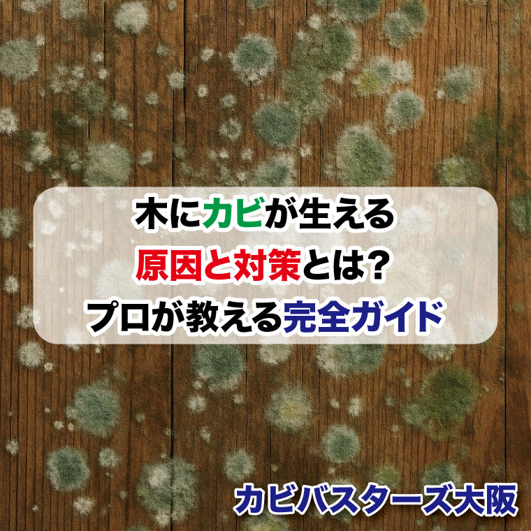 木にカビが生える原因と対策とは？プロが教える完全ガイドはカビバスターズ大阪