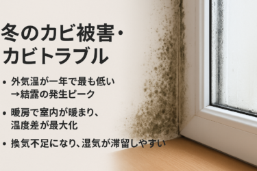 外壁側の押入れ・クローゼットでカビが止まらない…その原因と防止法