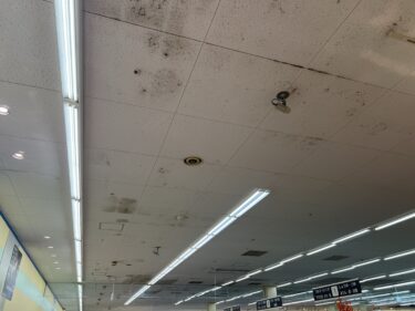 病院・オフィスの空調カビはなぜ起きる？全館空調と湿度管理の重要ポイント