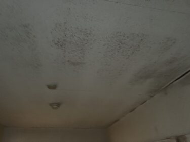 大阪の古いマンションの湿気問題を徹底解説！室内空気質とアレルギー対策ガイド