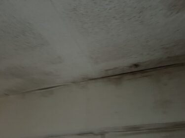 健康被害が心配な黒ずみ…プロが教える効果的カビ除去法