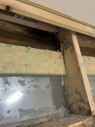 結露をいくら拭いてもカビが生える理由――壁内部・サッシ奥に潜む根本原因を徹底解説