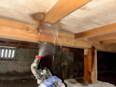 【2026年最新版】カビ業者ランキングは信用できる？大阪で本当に選ぶべき会社